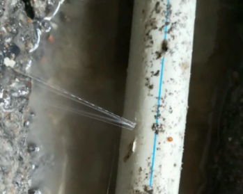 湾里卫生间测漏水多少钱